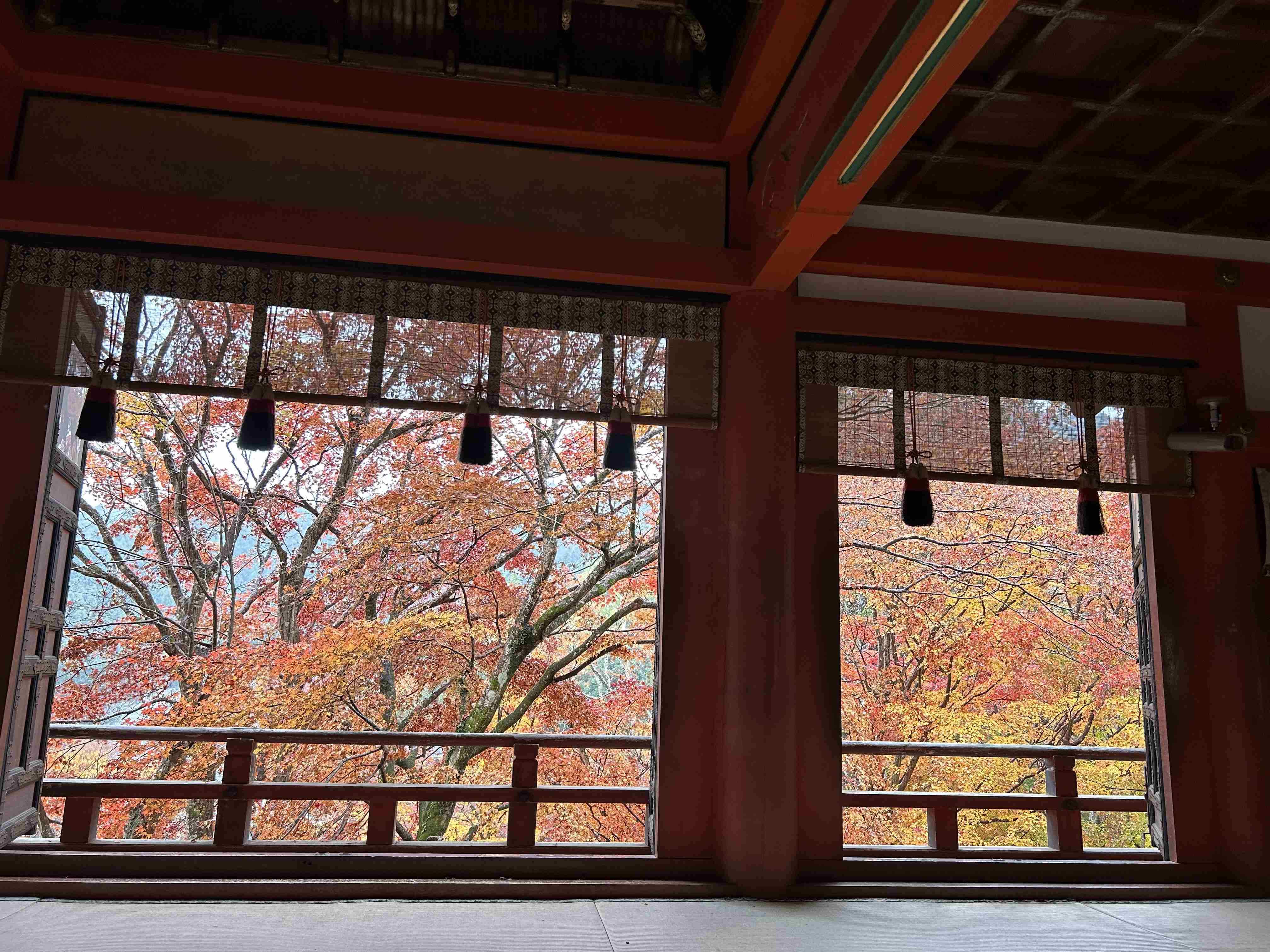 皆んなが撮った今年の紅葉🍁が見たい