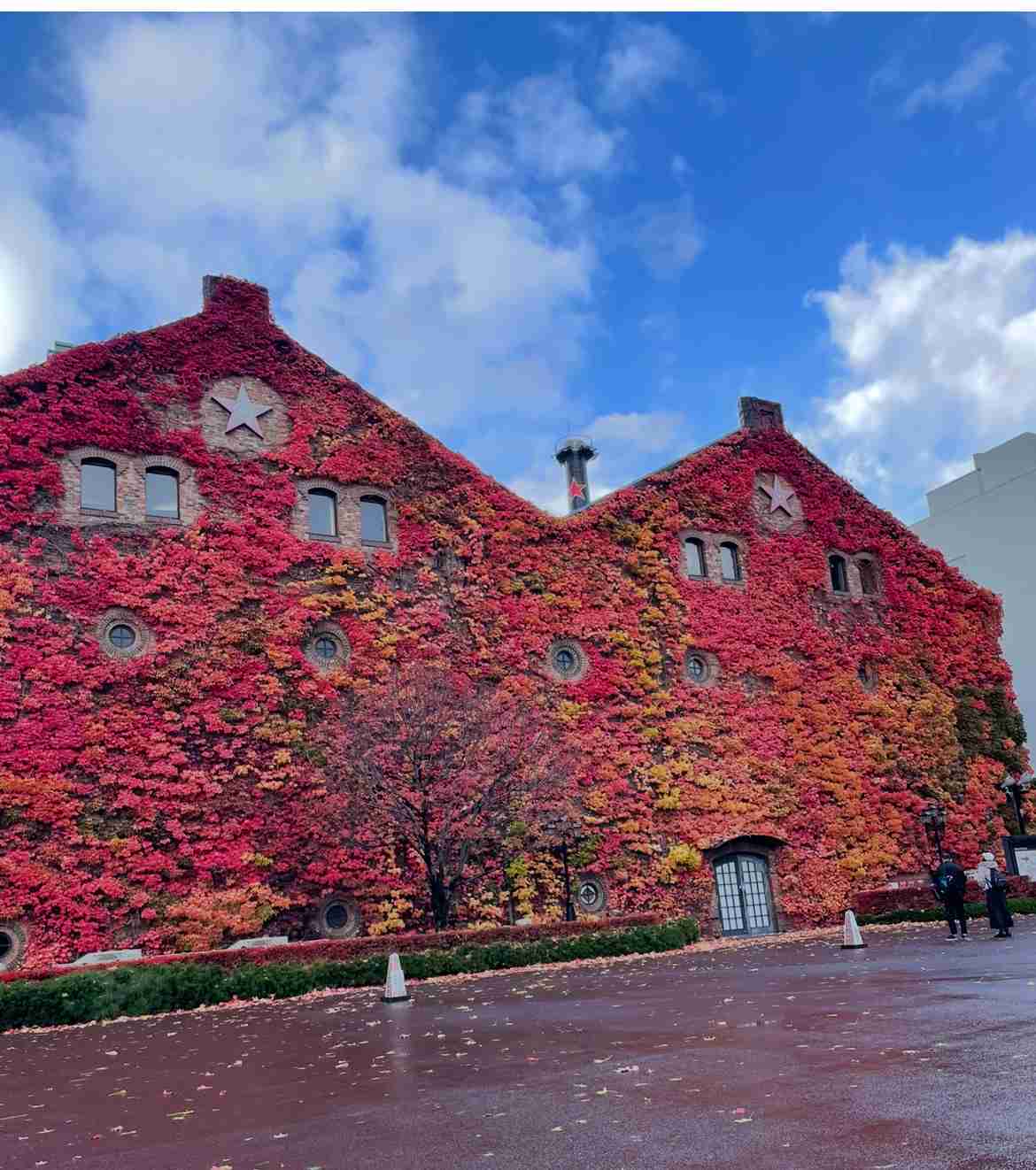皆んなが撮った今年の紅葉🍁が見たい