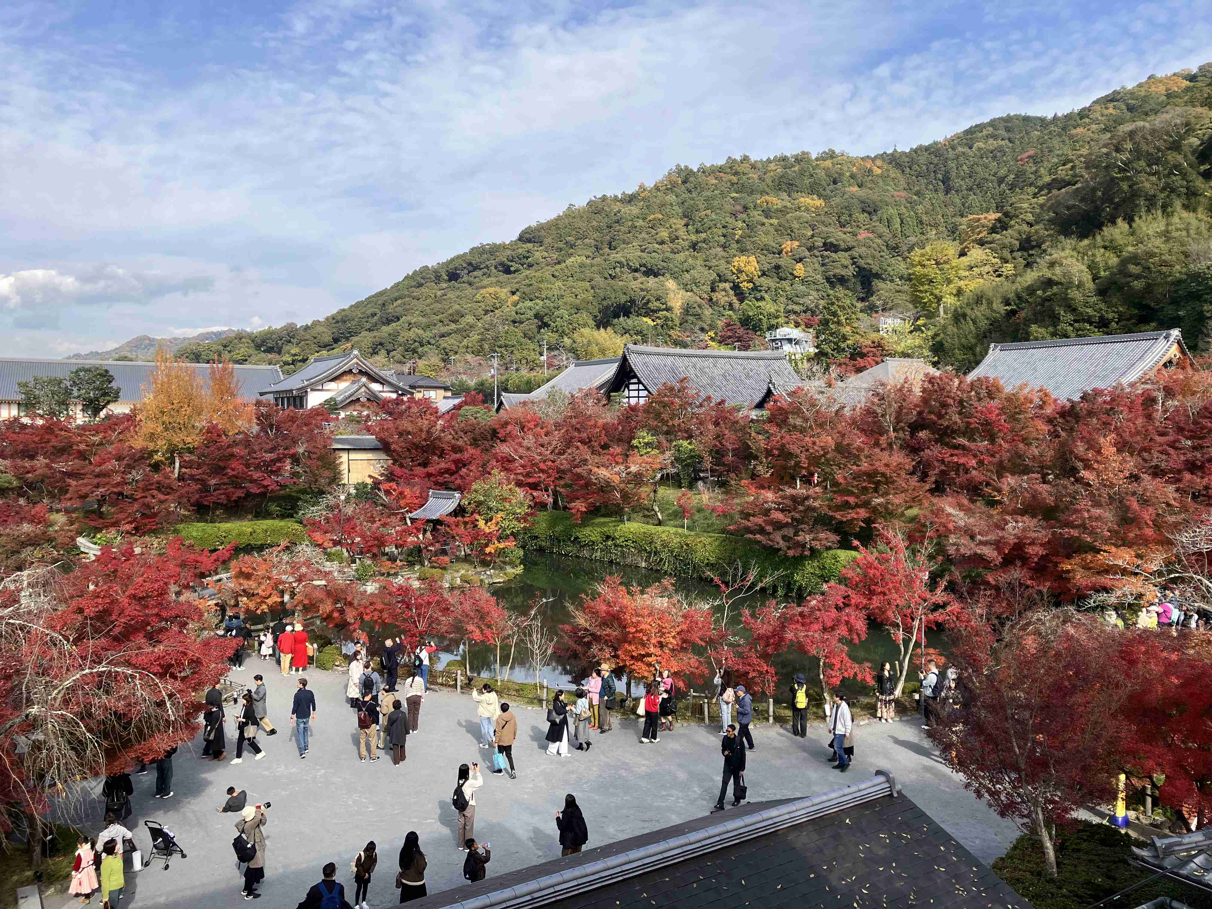 皆んなが撮った今年の紅葉🍁が見たい