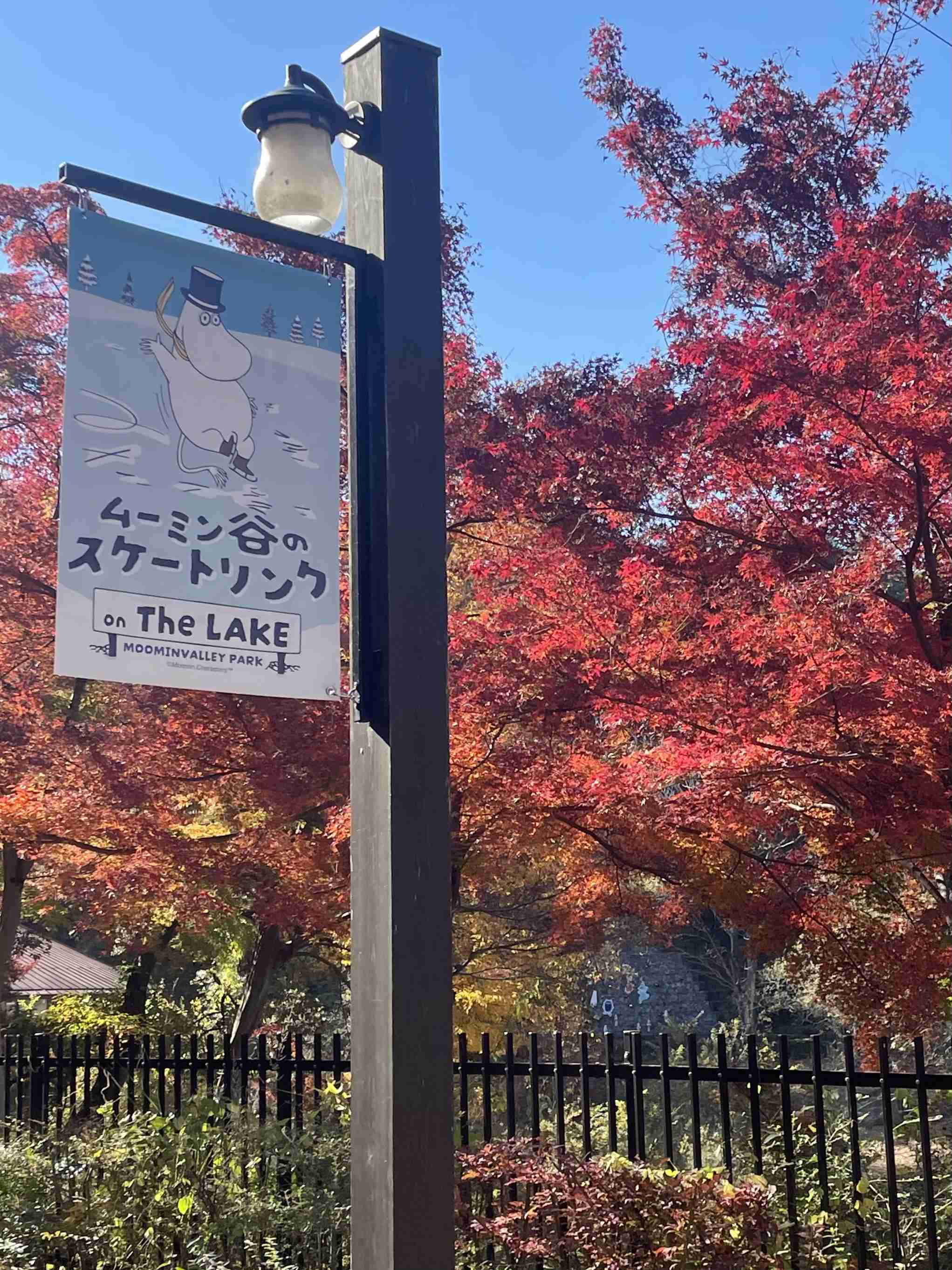 皆んなが撮った今年の紅葉🍁が見たい