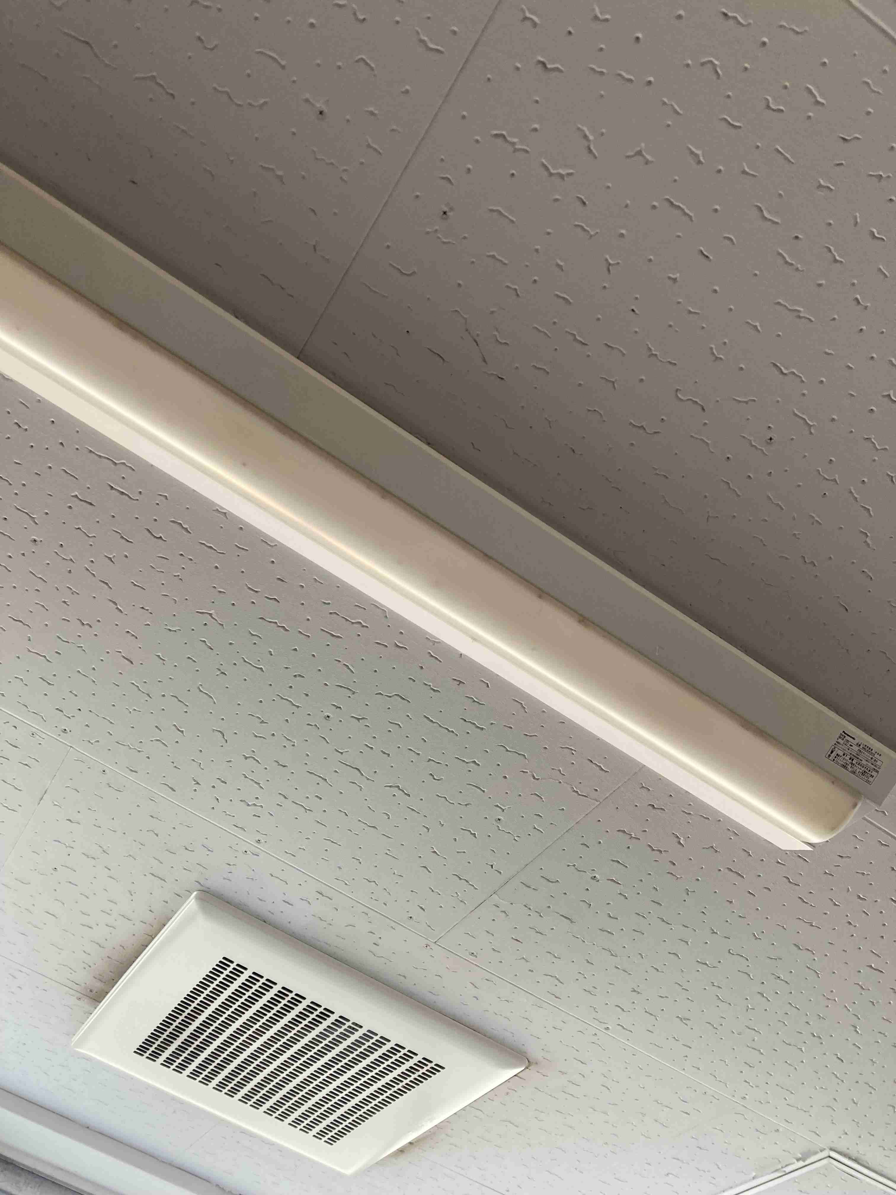 目の前の光景を張っていくトピ