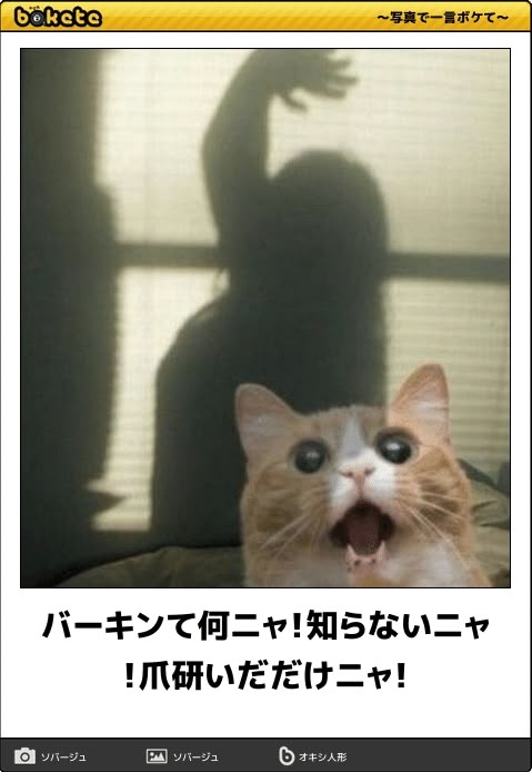 他人の視点・立場に立って物事をみるのが難しい