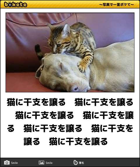 【全576通り】干支×星座×血液型の全てが同じ人を探すトピ Part10