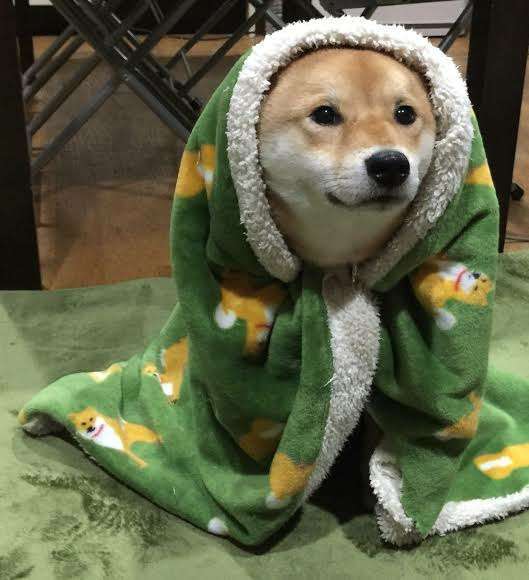 皆んなのブランケット見たい〜