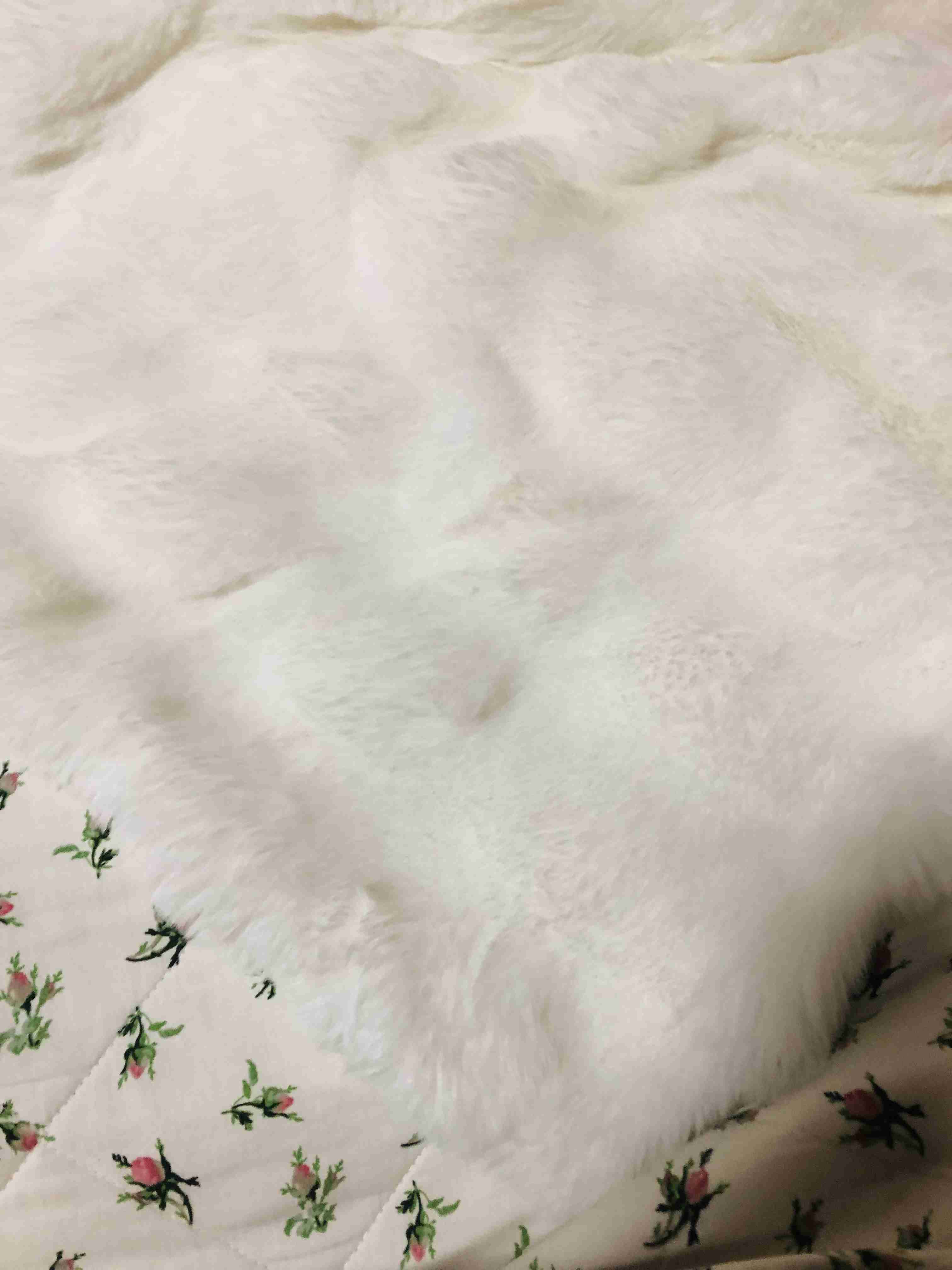 皆んなのブランケット見たい〜