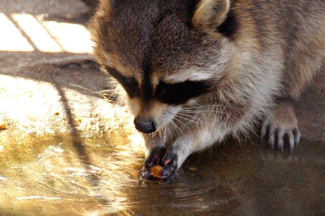 家に帰ると一番にすること