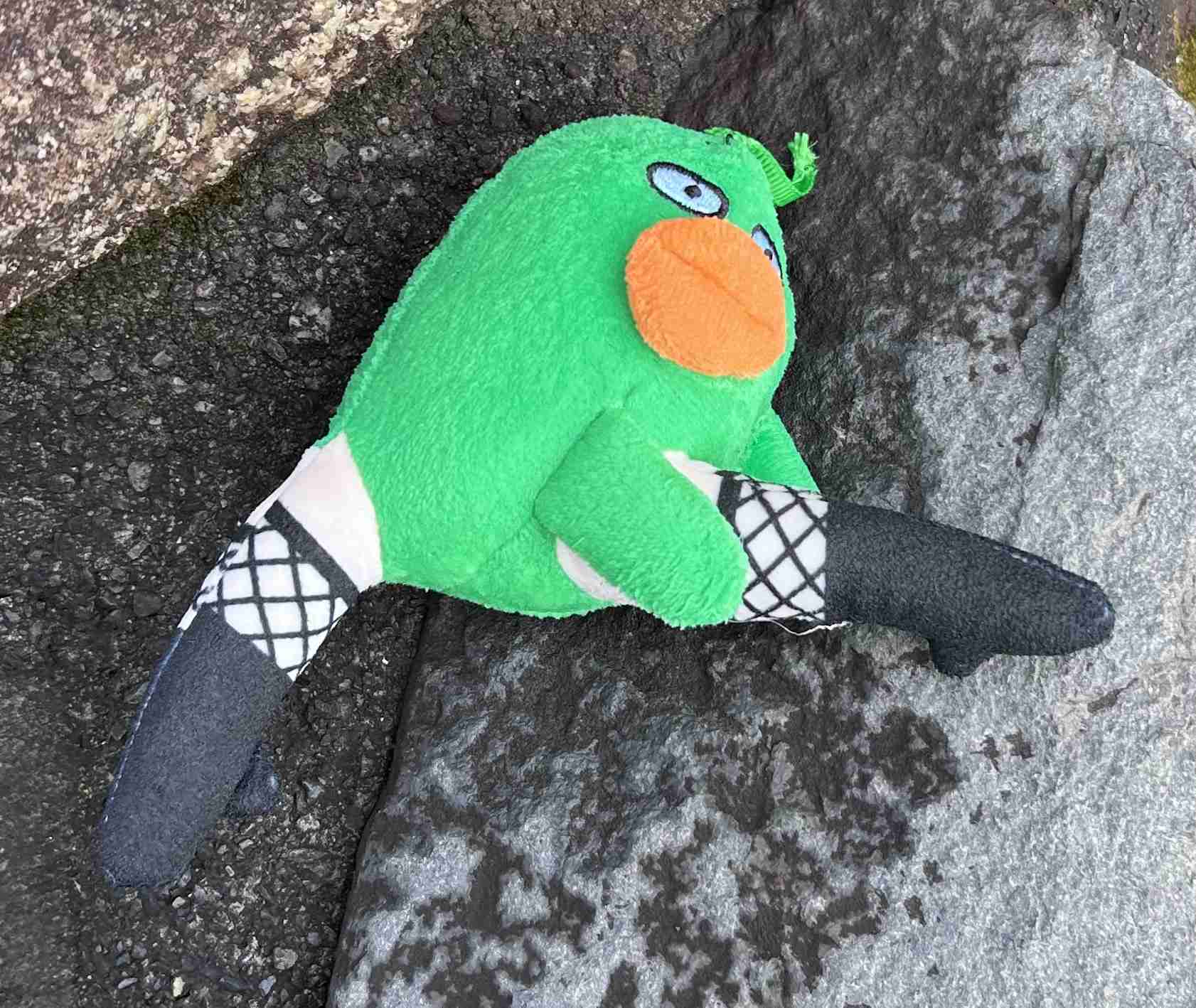 調べたくても調べようがなくて気になっていること