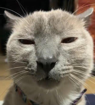 説教されてるときどんな顔してる?