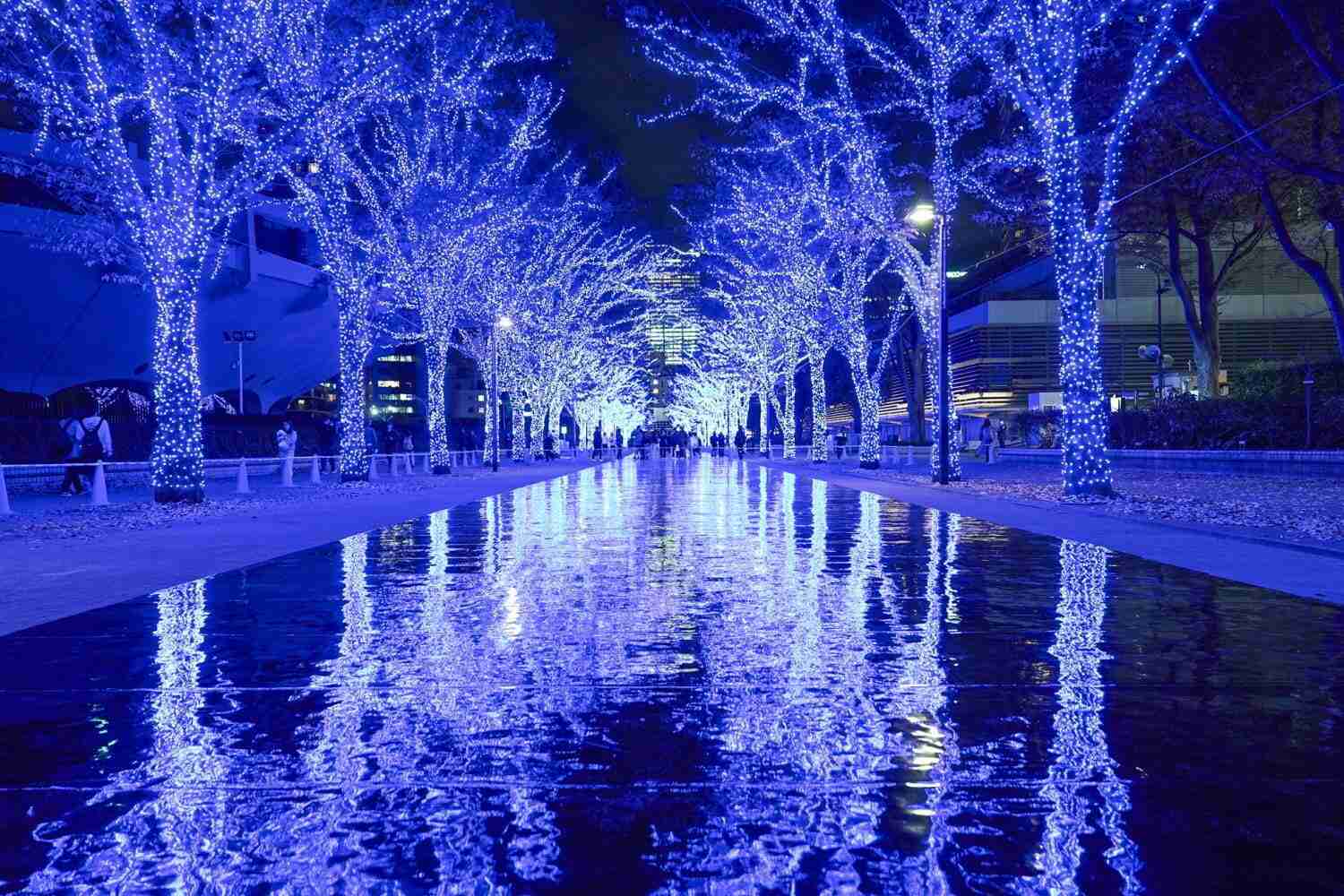 街中のクリスマスぽい写真見せてください