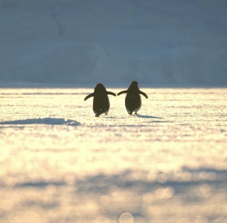 家に居場所がない人