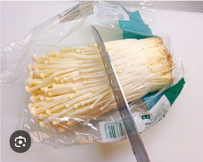 潔癖、綺麗好きが無理な事を上げていく場所