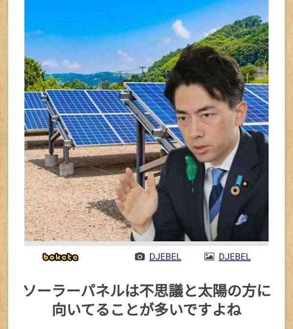 高市内閣 閣僚の平均資産は約6641万円 トップは小泉防衛大臣 2億7248万円で妻・滝川クリステルさん名義 高市総理は3206万円