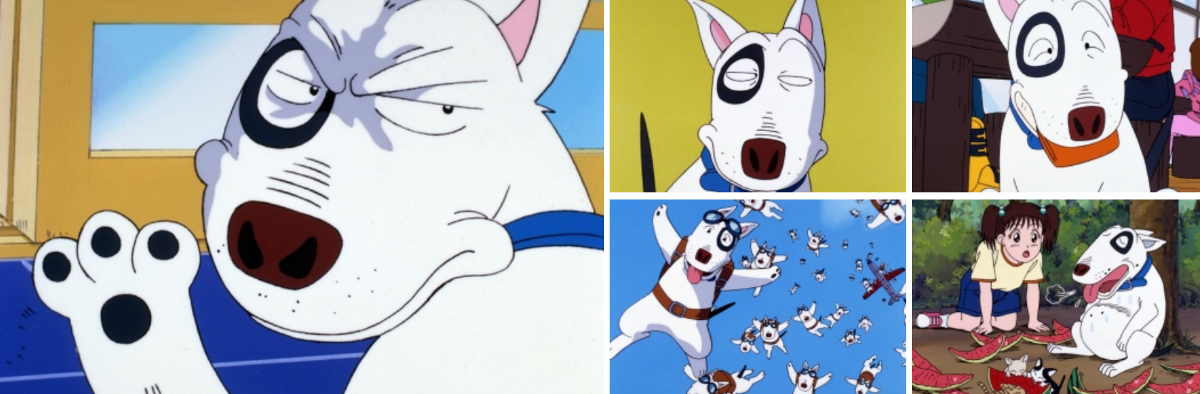 犬・猫(その他ペット)を飼いたくなったテレビ・アニメ・マンガ等