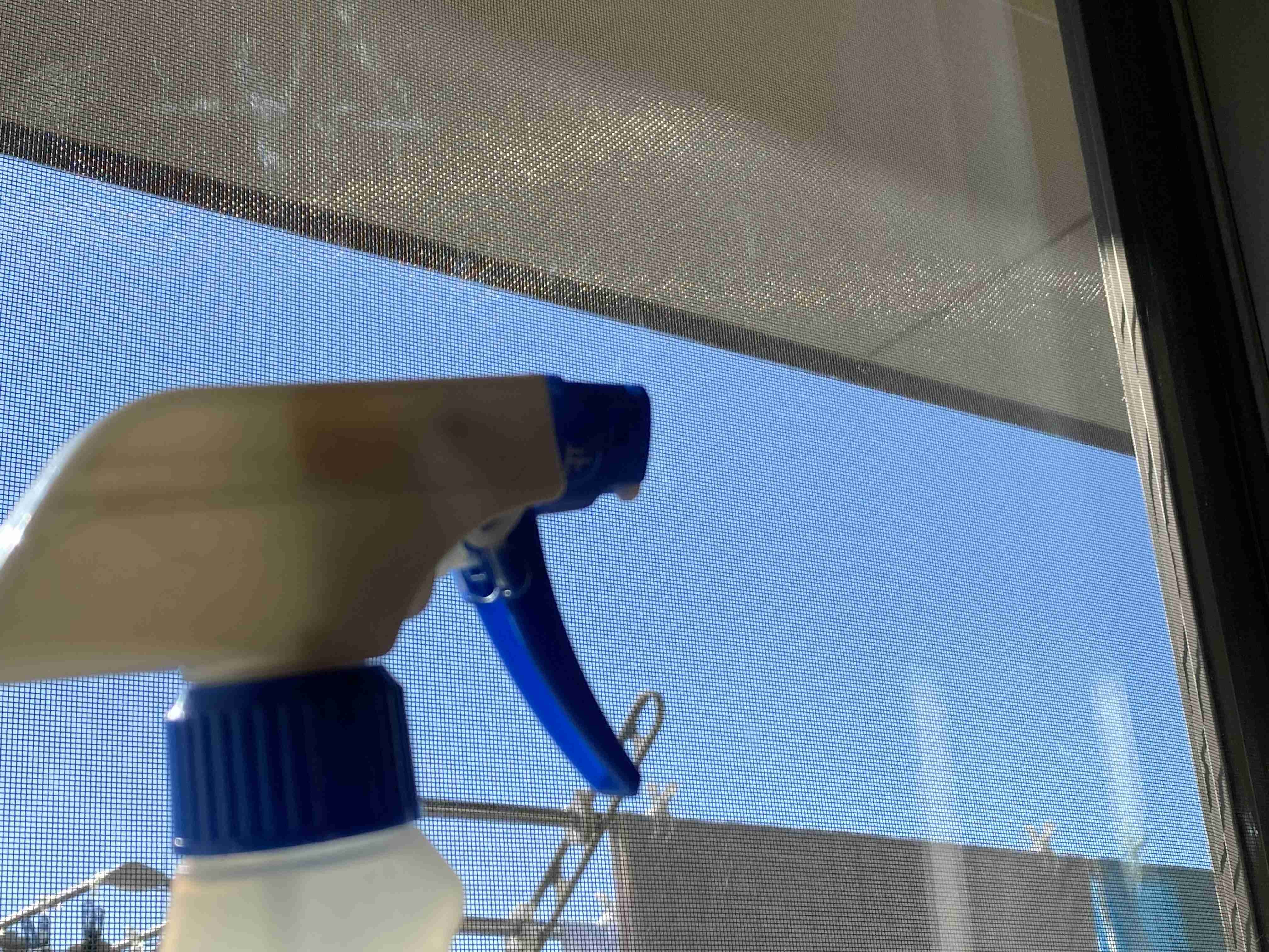 年末年始の我が家の情景を貼るトピpart4