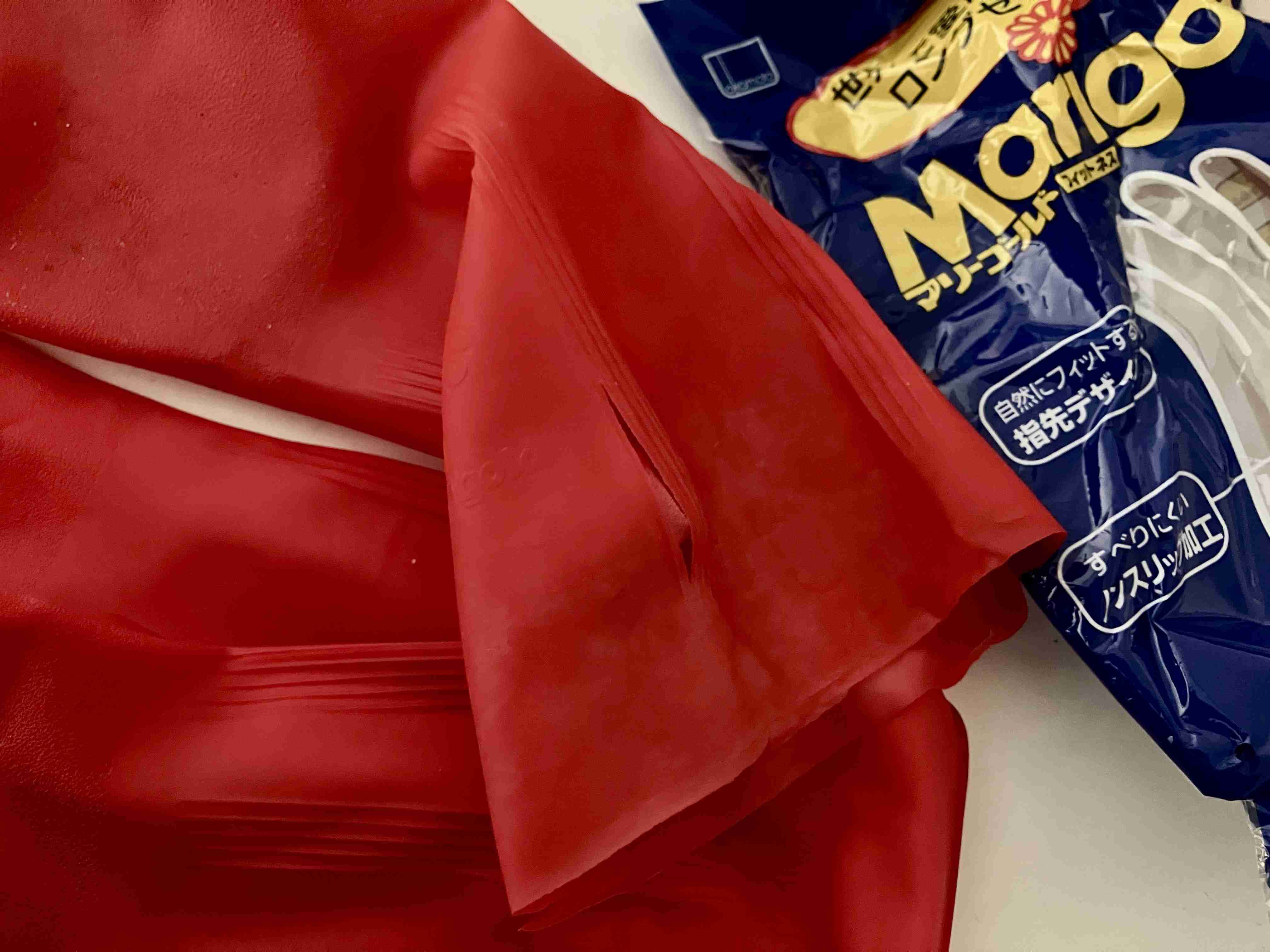 年末年始の我が家の情景を貼るトピpart4