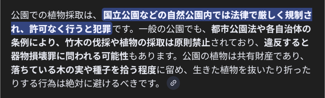 年末年始の我が家の情景を貼るトピpart4