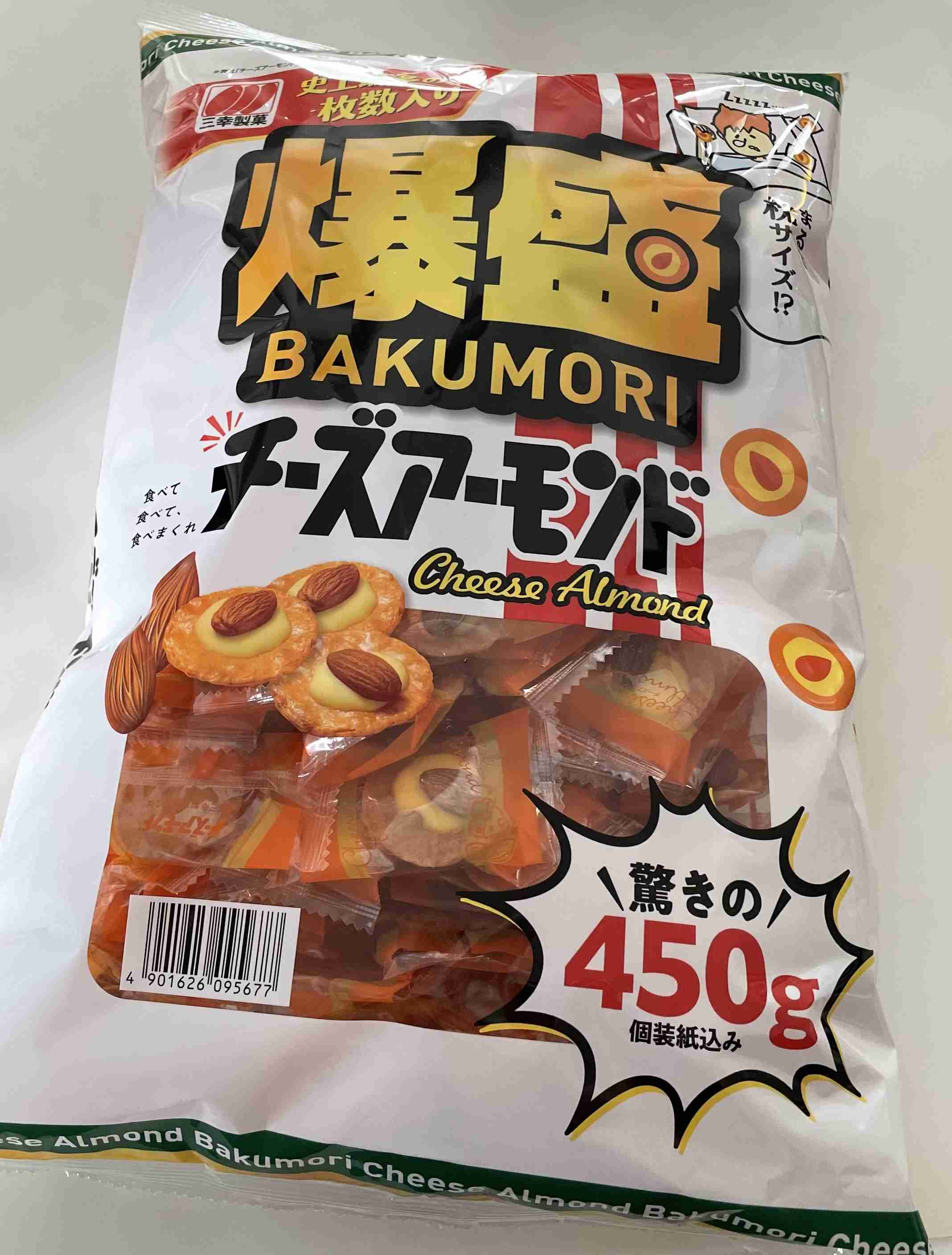 年末年始の我が家の情景を貼るトピpart4