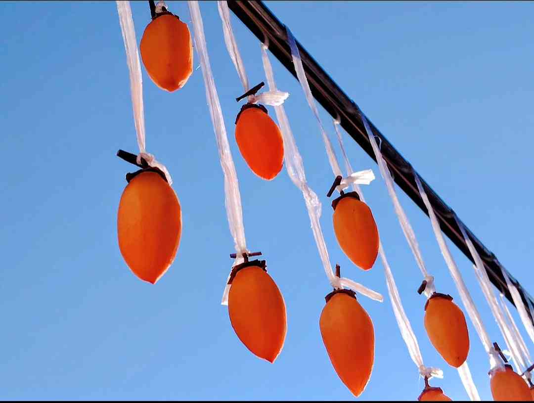 年末年始の我が家の情景を貼るトピpart4