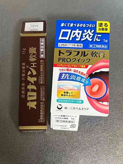 年末年始の我が家の情景を貼るトピpart4