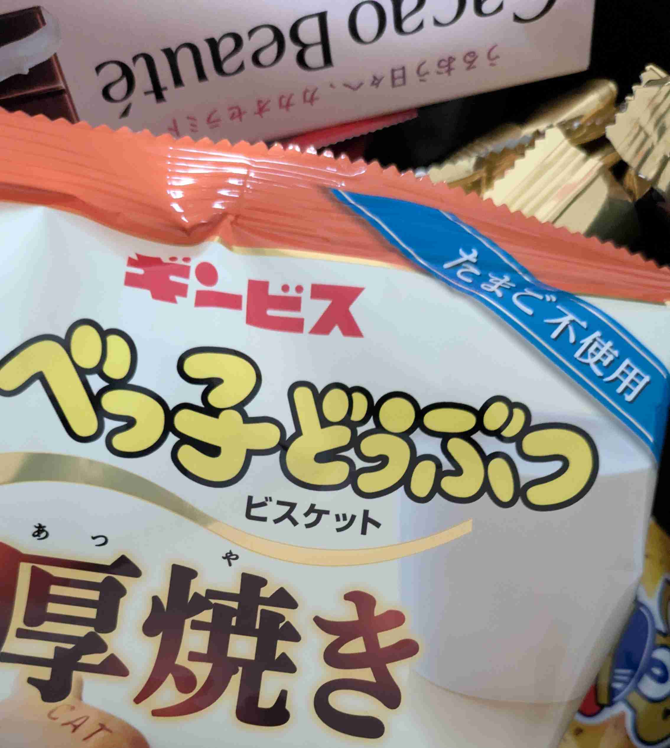 年末年始の我が家の情景を貼るトピpart4