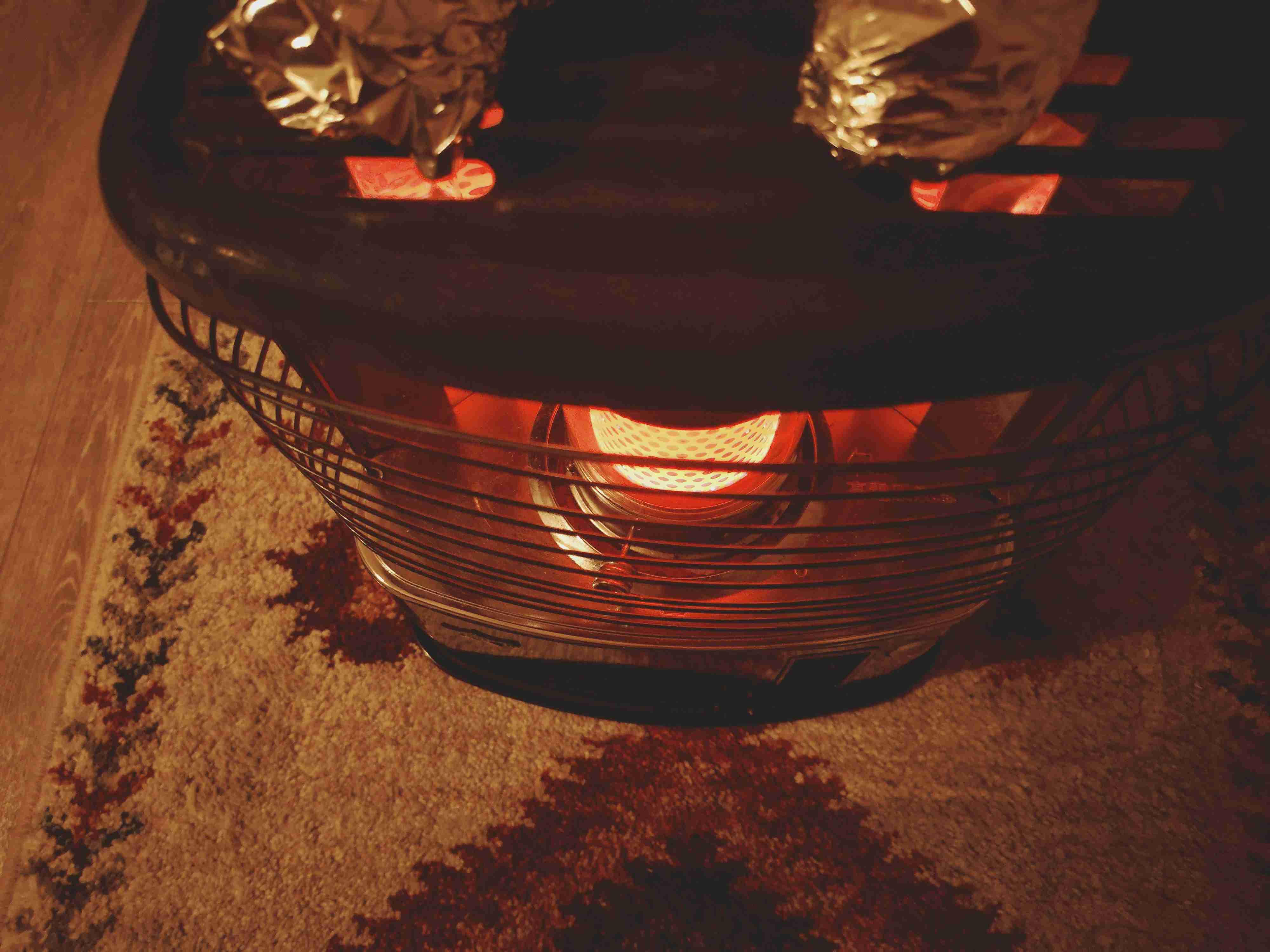 年末年始の我が家の情景を貼るトピpart4