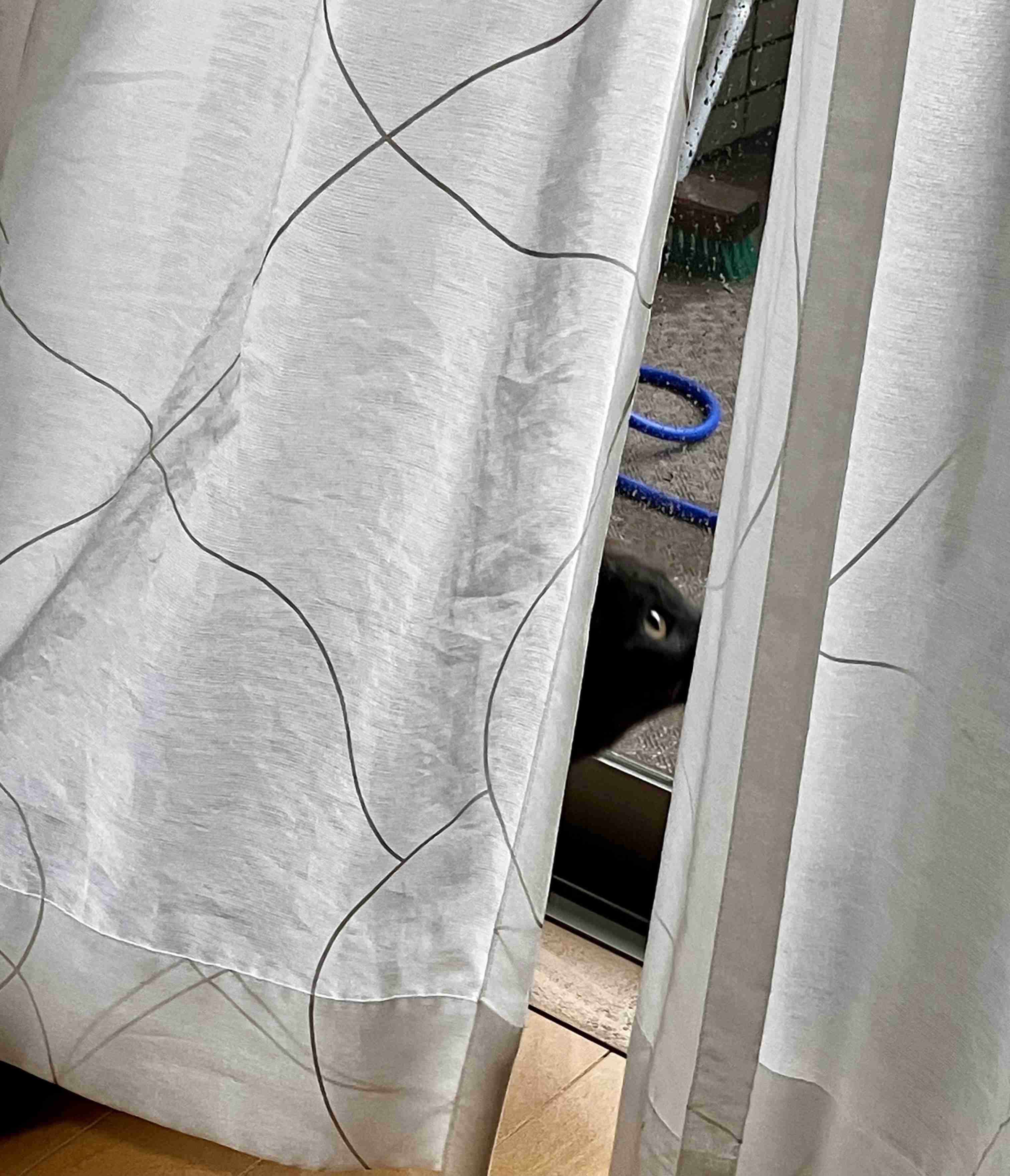 年末年始の我が家の情景を貼るトピpart4