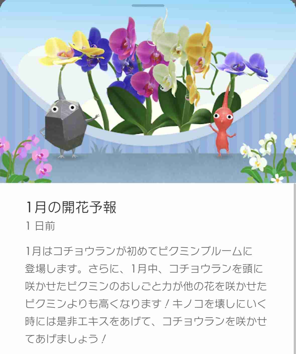 Pikmin Bloom(ピクミンブルーム)ピクミンとおでかけしよう✿Part25✿