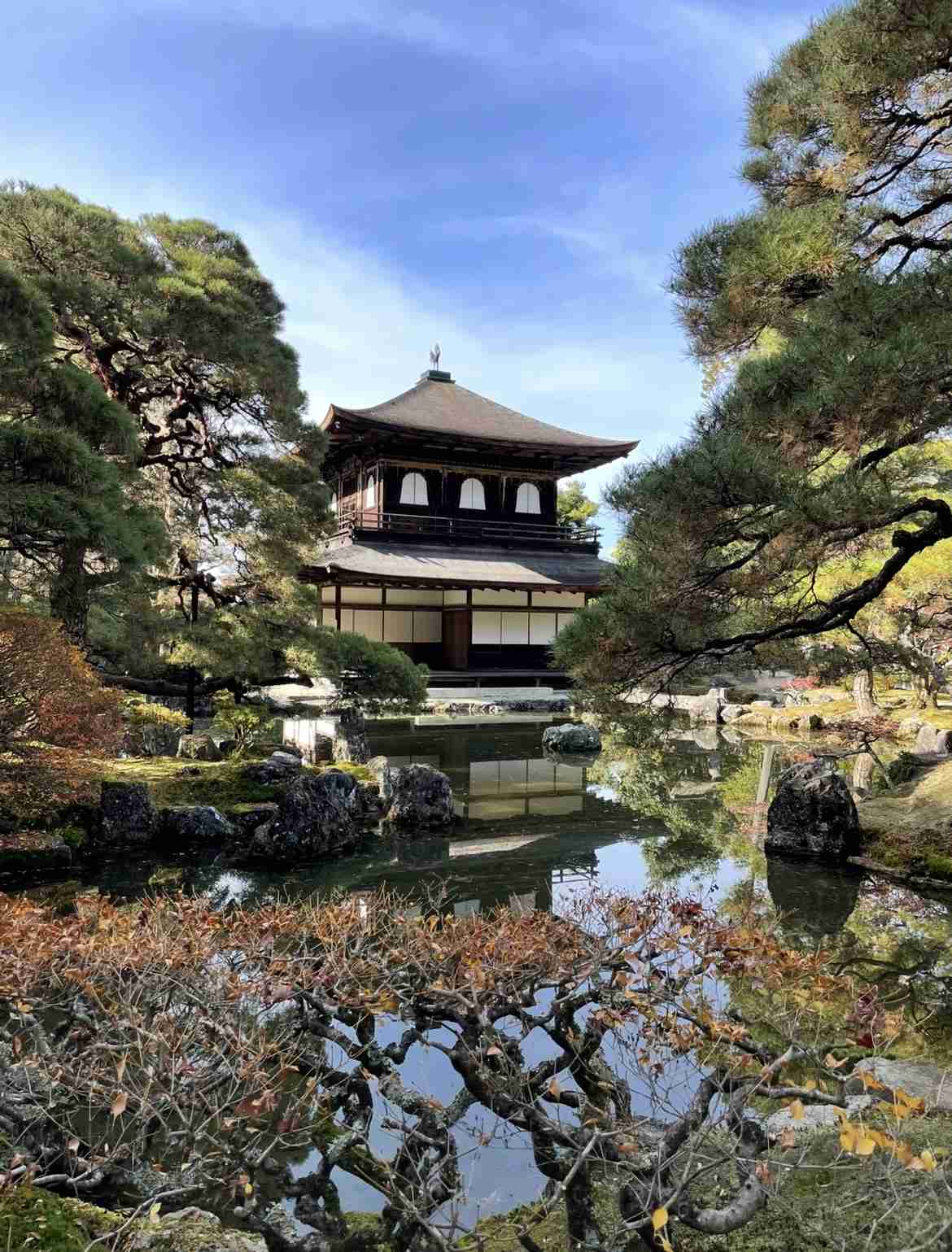 12月京都おすすめ