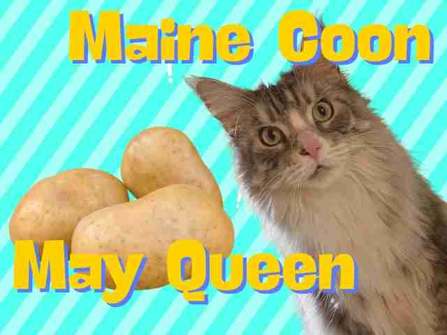 分けて考えた方がいいと思うこと