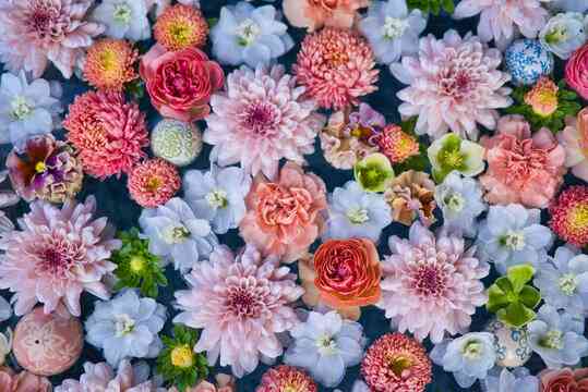 年齢を重ねて良さが分かったもの