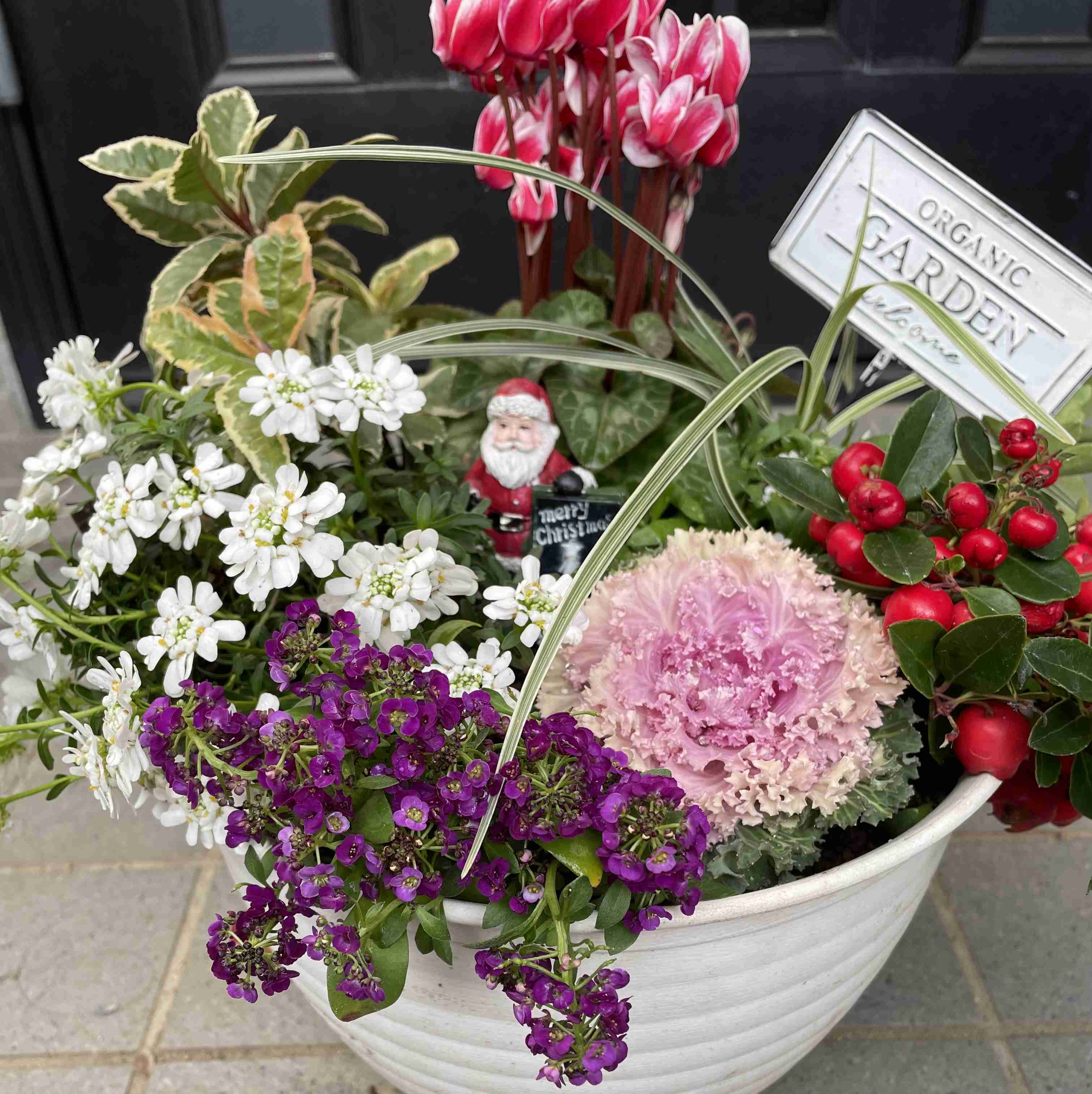 【ガーデニング】ガルちゃん園芸部【花・植物】part.52