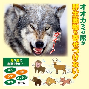 【速報】東京・多摩動物公園内でオオカミが脱走　客に建物への避難呼びかけ　けが人の情報なし