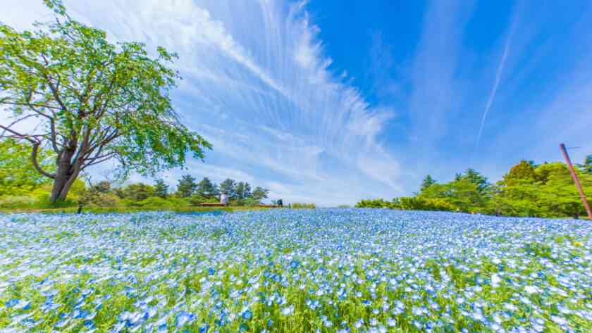 【ひきこもり】対人関係が欠けたまま生きてきた人