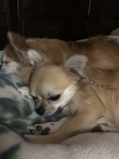 🐄ホットミルク好きな人🥛🔥