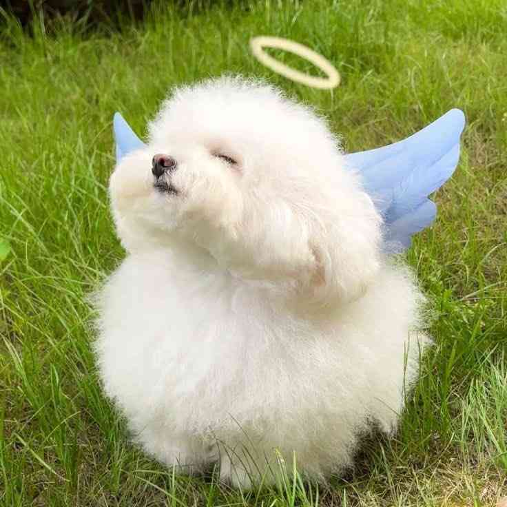 実はマルチのもの Part4