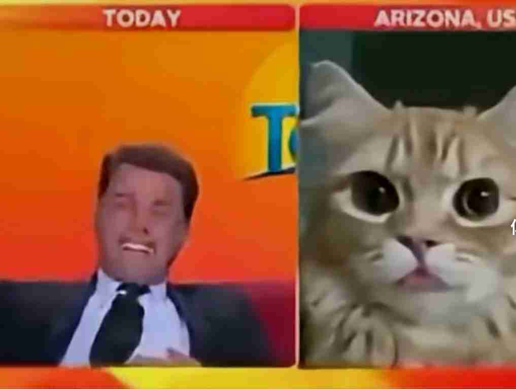 海外ドラマの吹き替え風に話すトピよ SEASON6