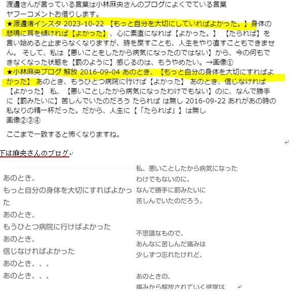 渡邊渚さん、悪質嫌がらせ告白　自身の名＆アドレスで複数ホテル予約される被害