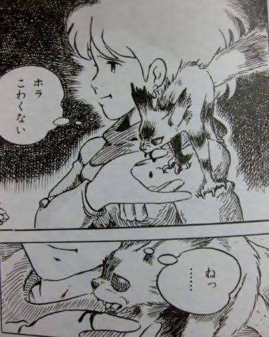 カッコイイ女性を好きになったことがある人