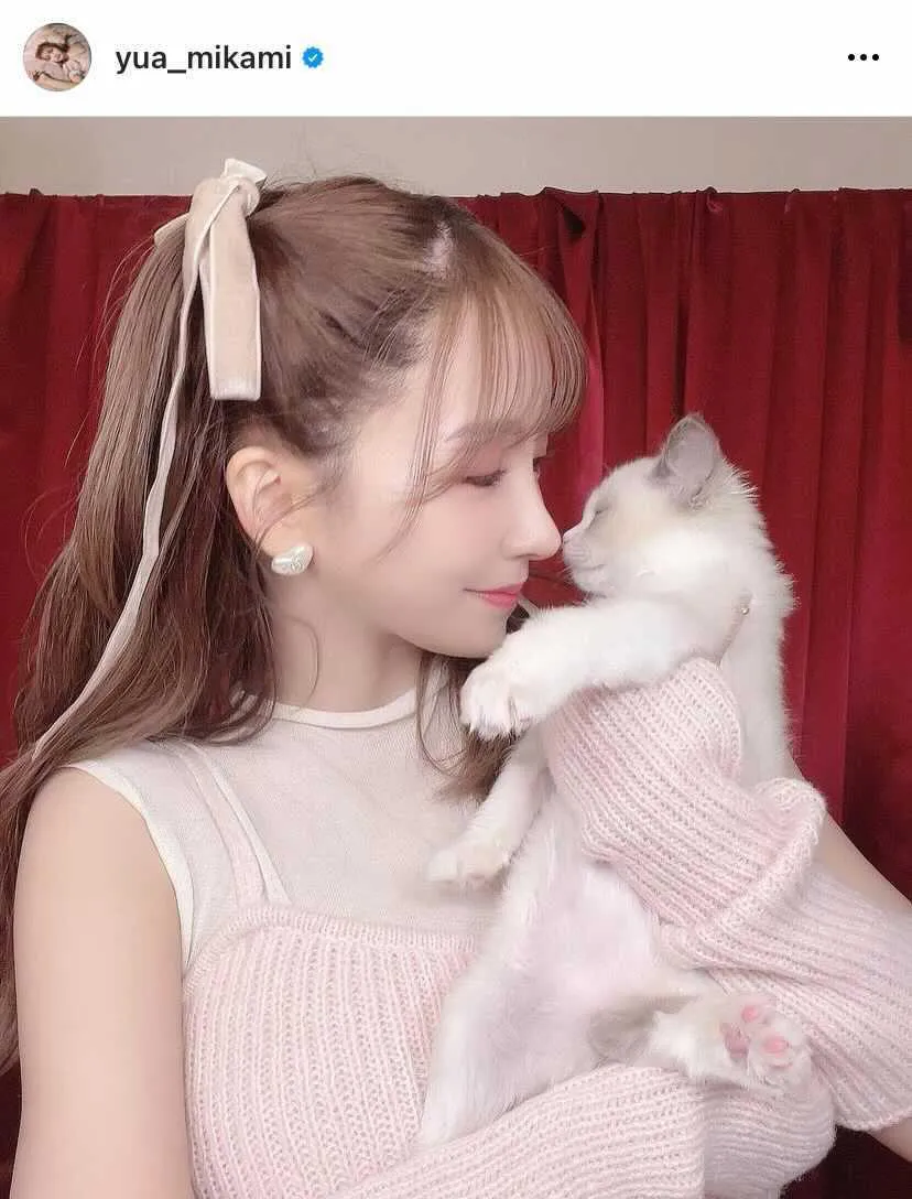 長毛猫飼ってる方