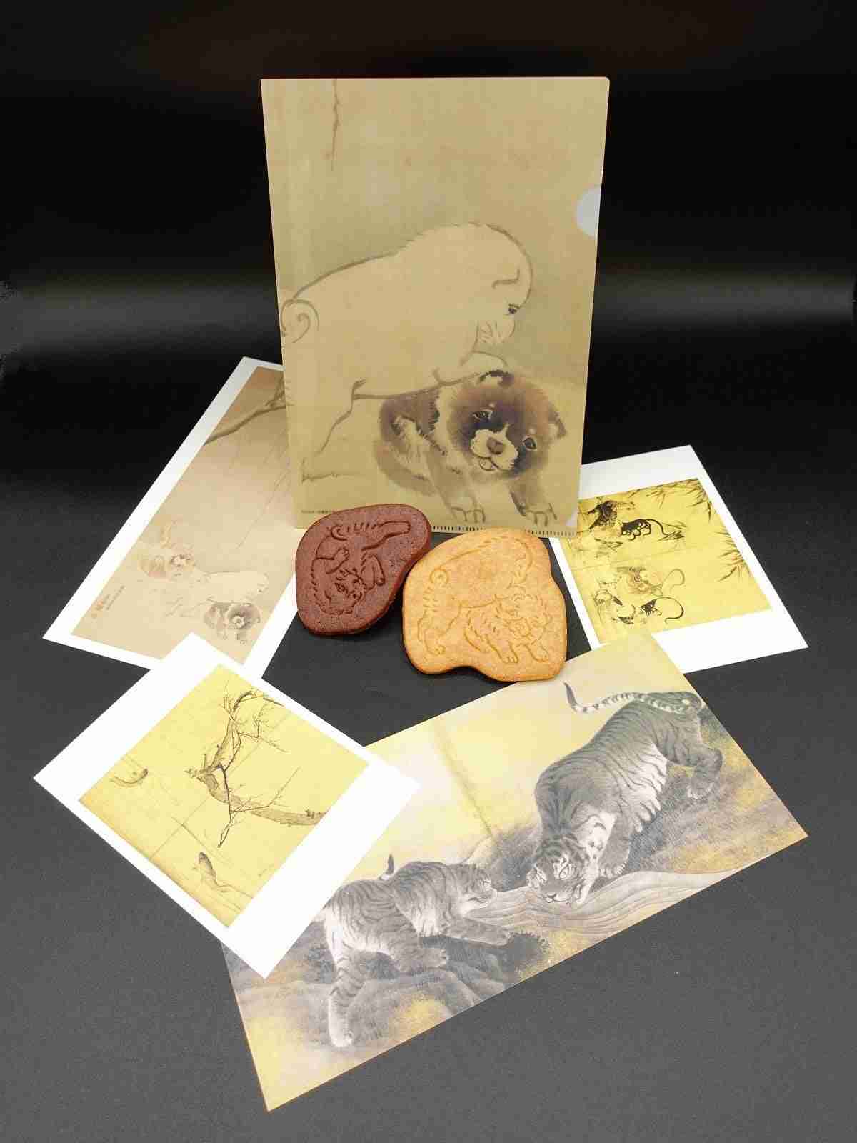 【画像】1年ぶりの帰省で「違う犬を飼ったの？」と間違われた愛犬の驚くべき変貌