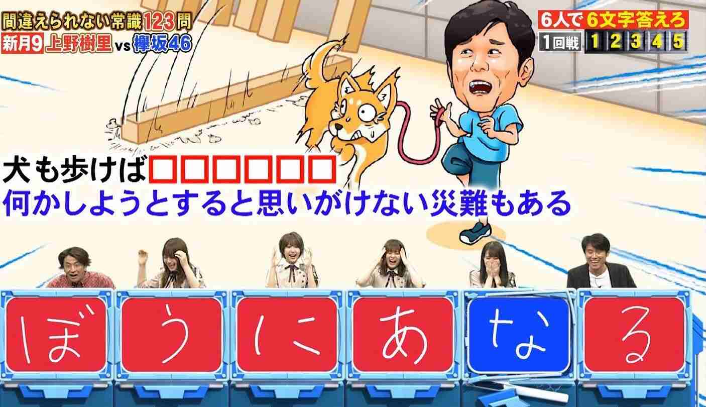 【画像】1年ぶりの帰省で「違う犬を飼ったの？」と間違われた愛犬の驚くべき変貌