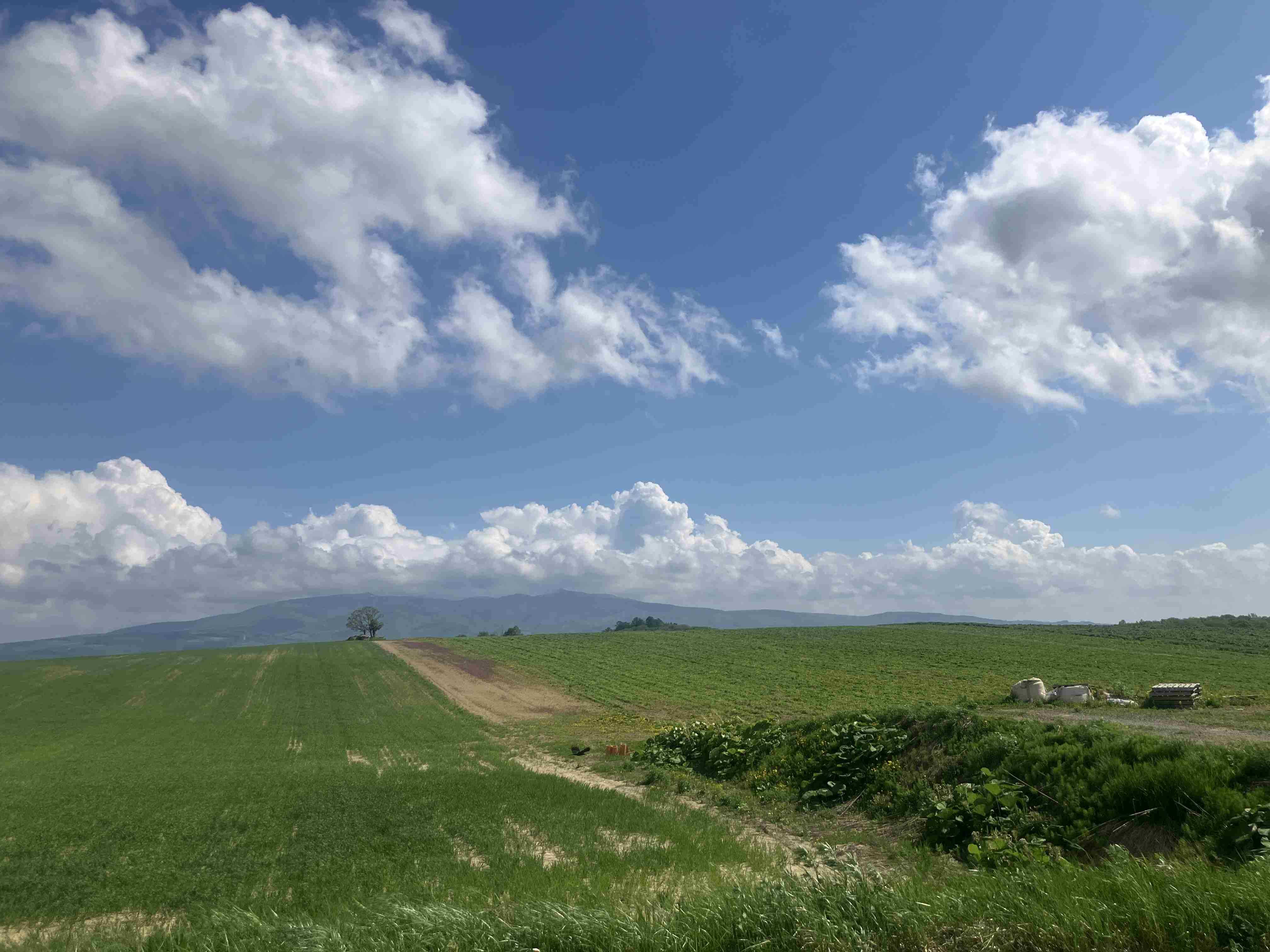 皆さんが撮った空の画像を見せて下さい