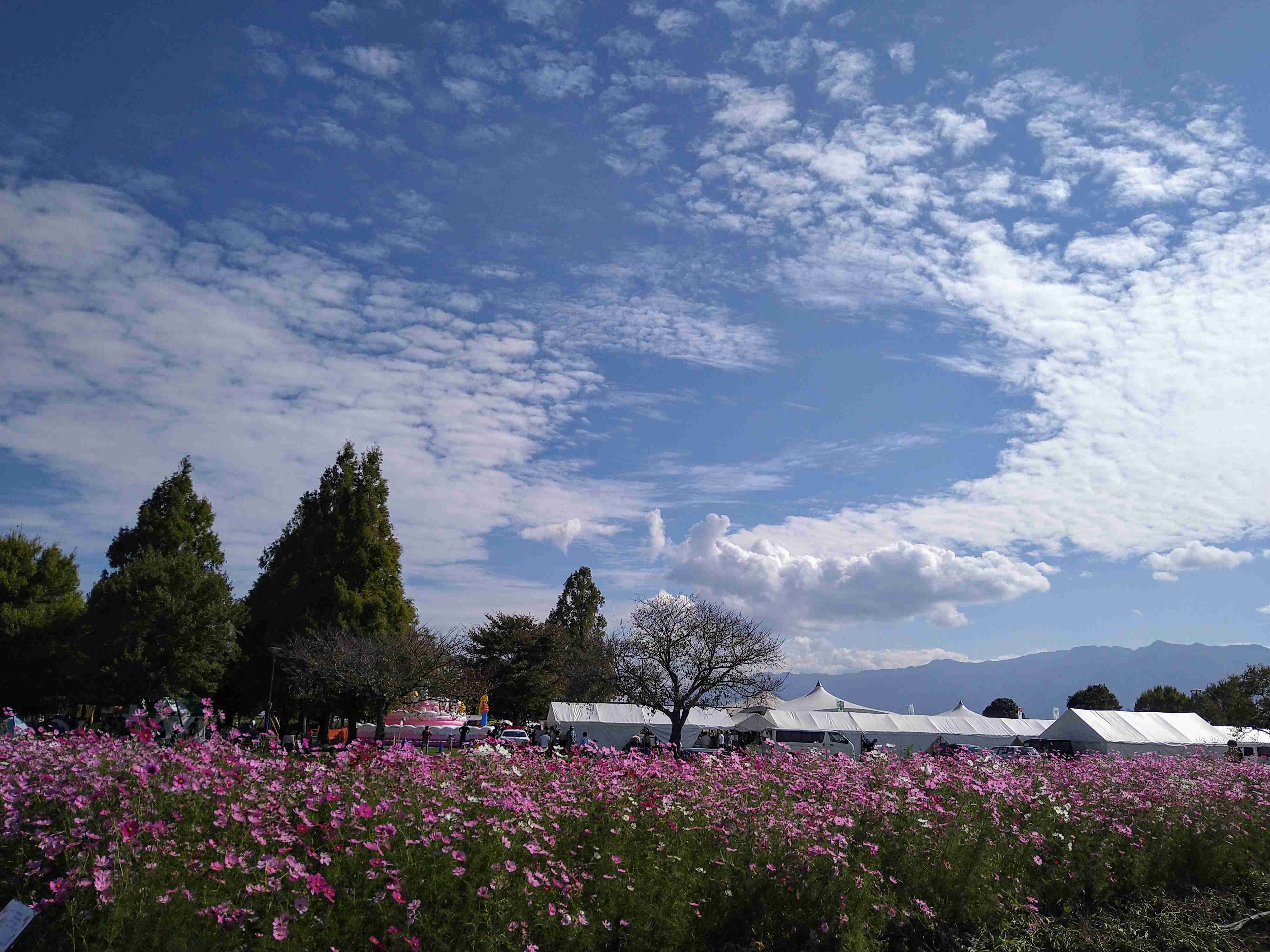 皆さんが撮った空の画像を見せて下さい