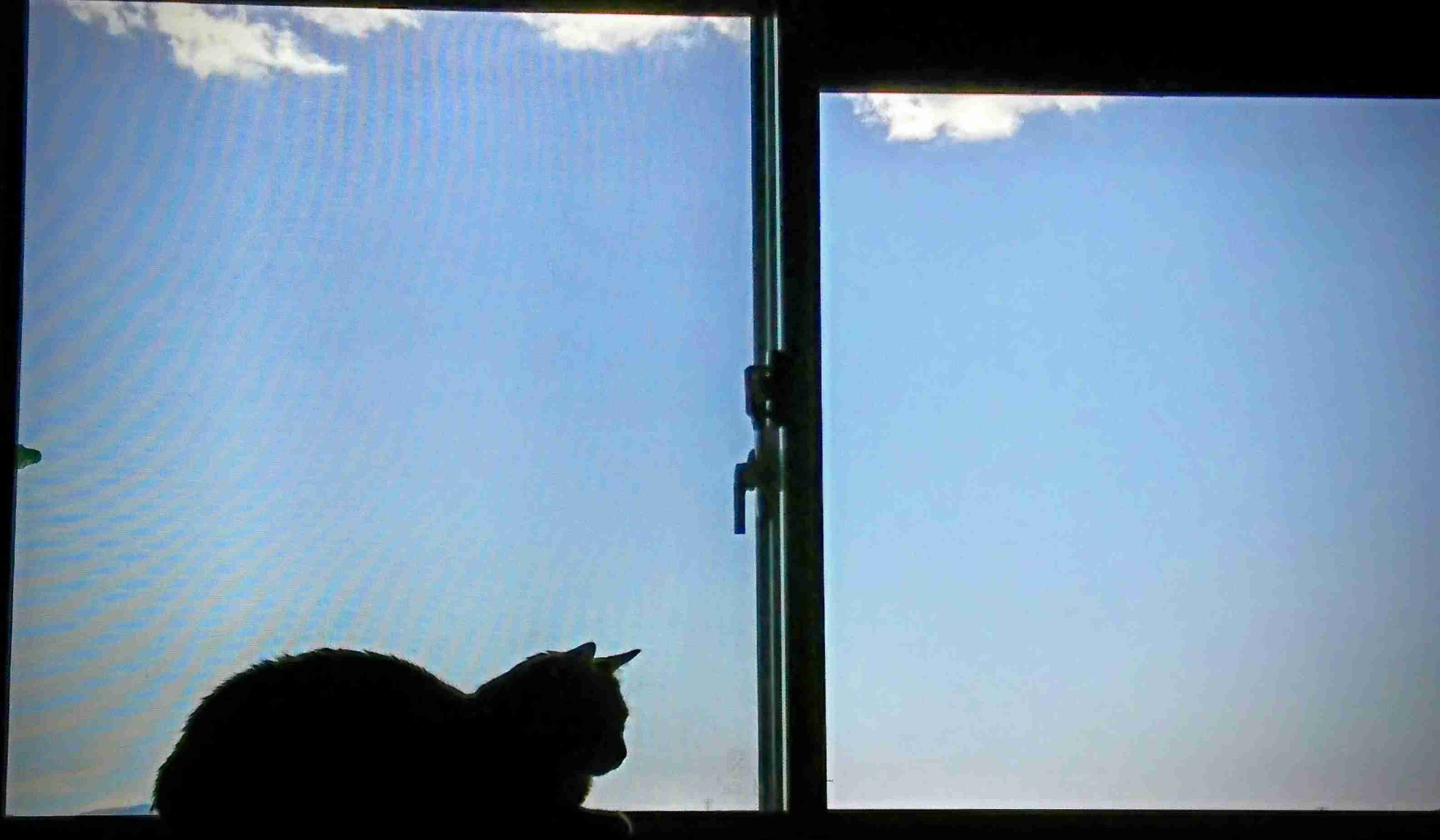 皆さんが撮った空の画像を見せて下さい