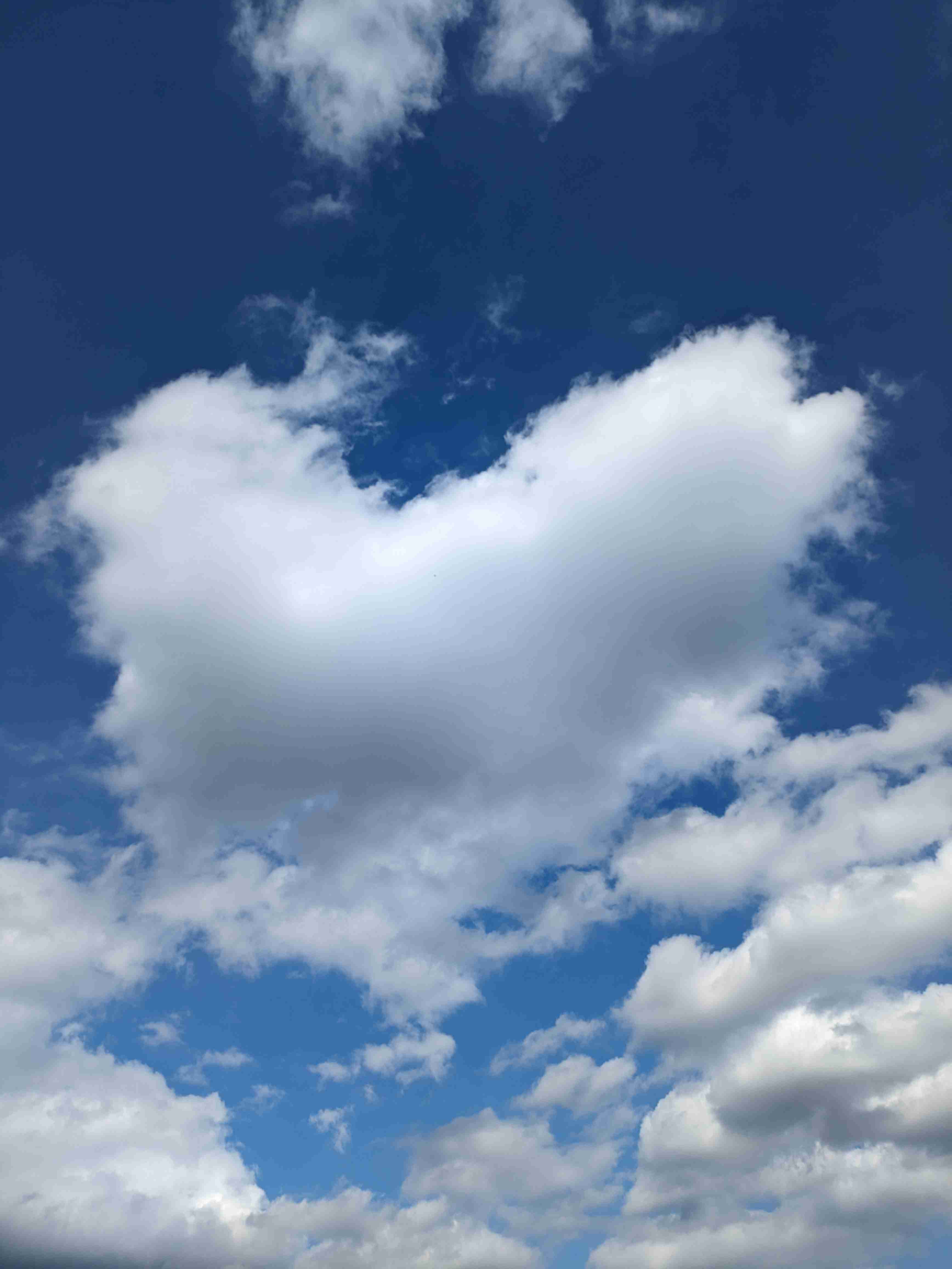 皆さんが撮った空の画像を見せて下さい