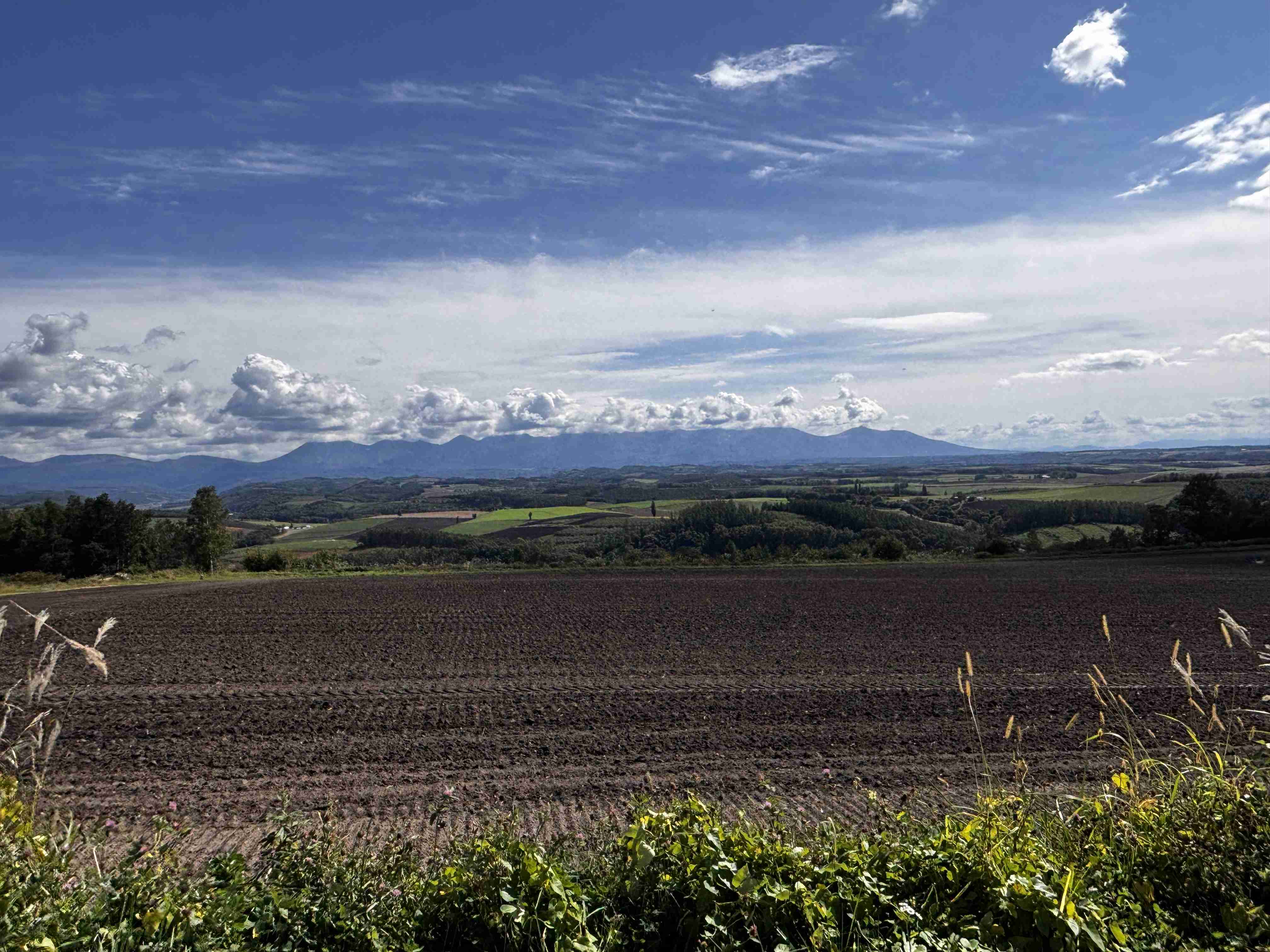 皆さんが撮った空の画像を見せて下さい