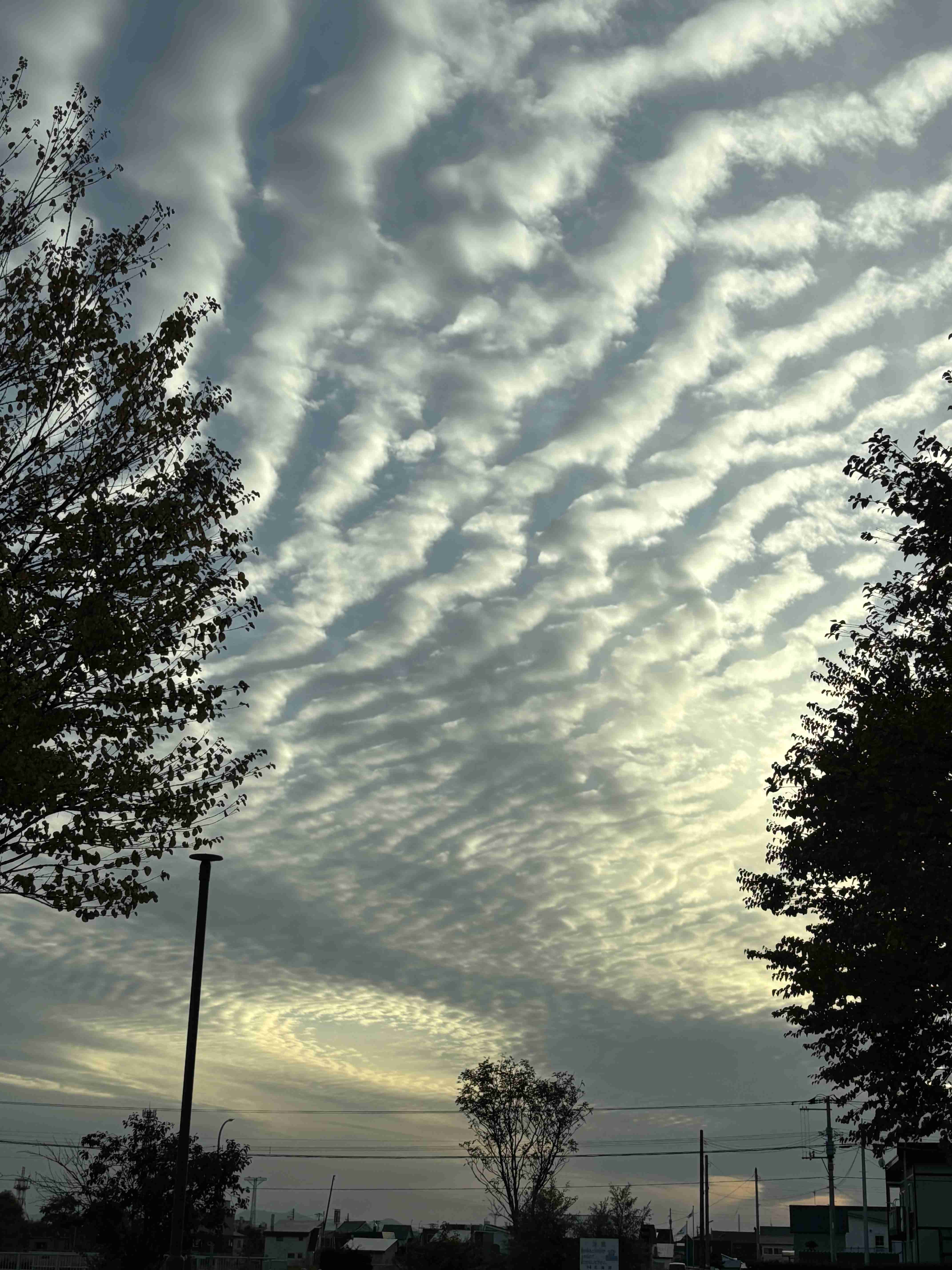 皆さんが撮った空の画像を見せて下さい
