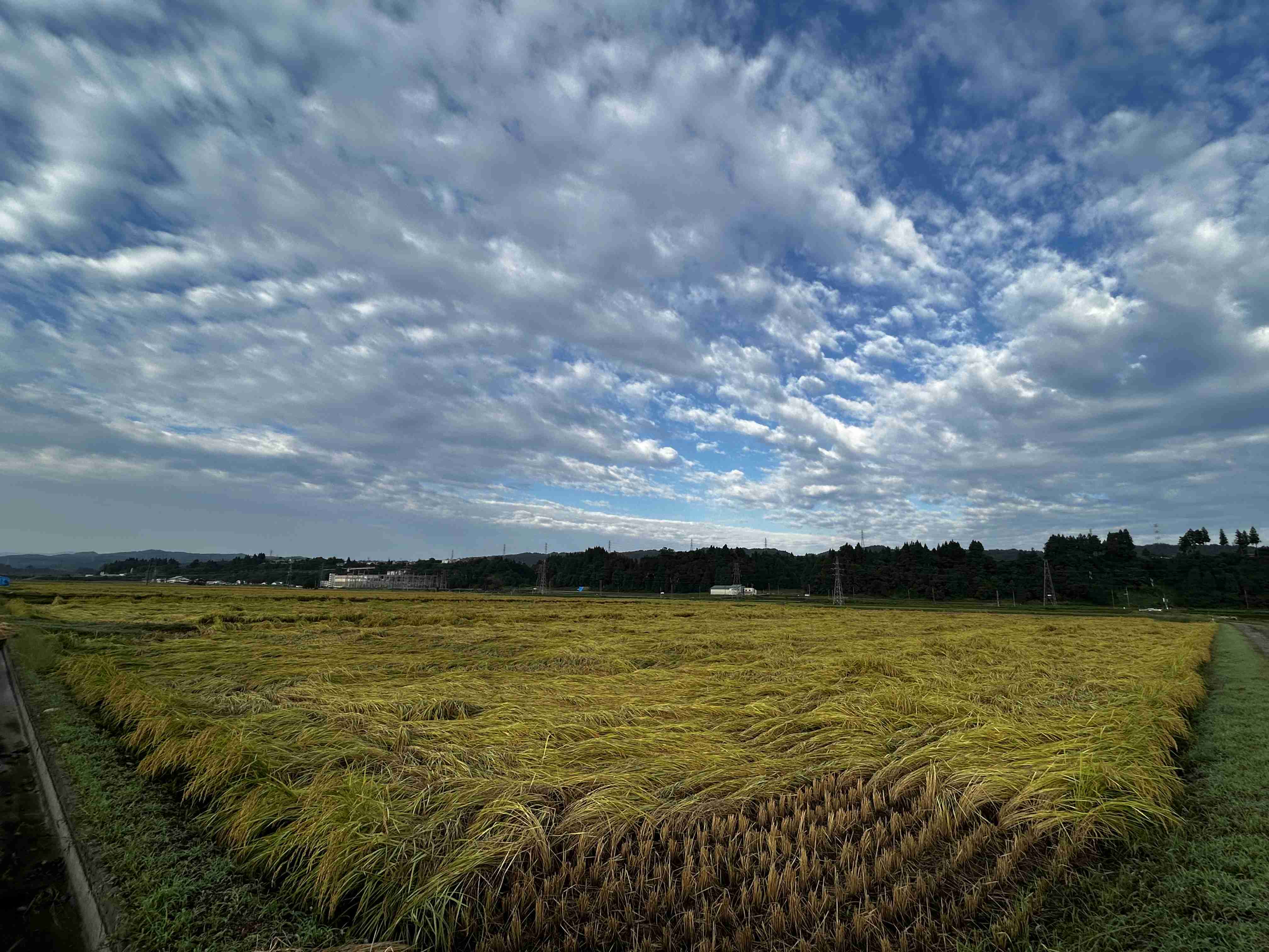 皆さんが撮った空の画像を見せて下さい