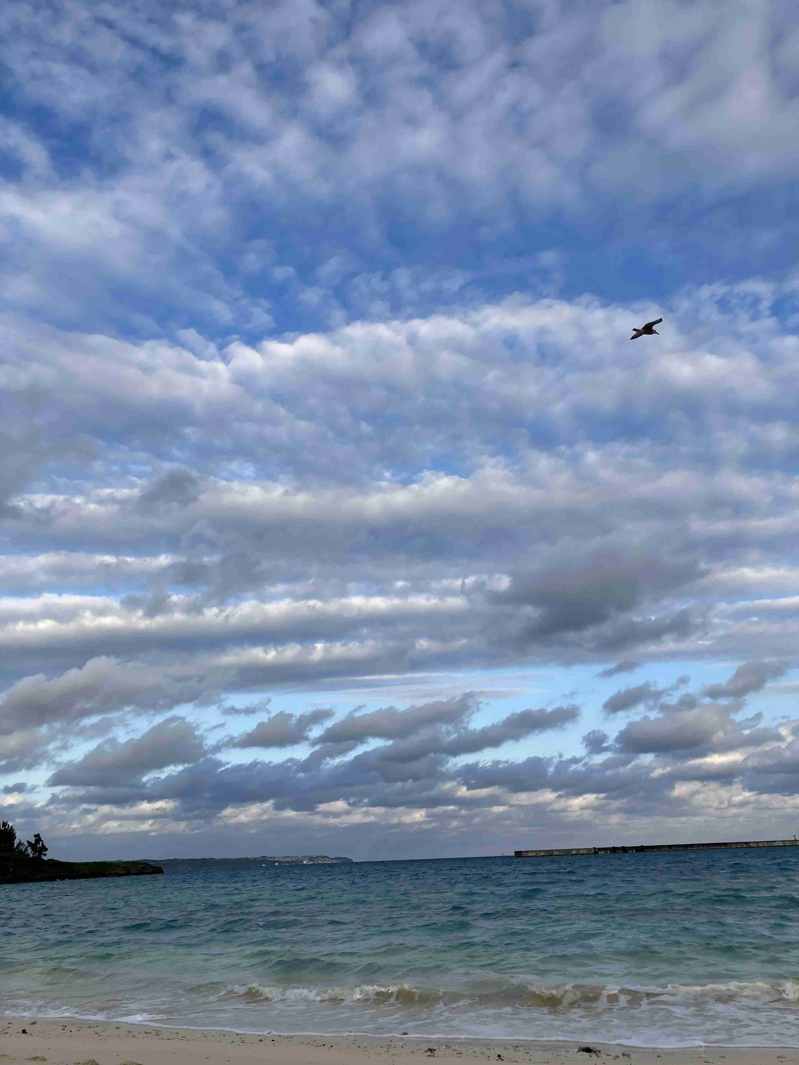 皆さんが撮った空の画像を見せて下さい