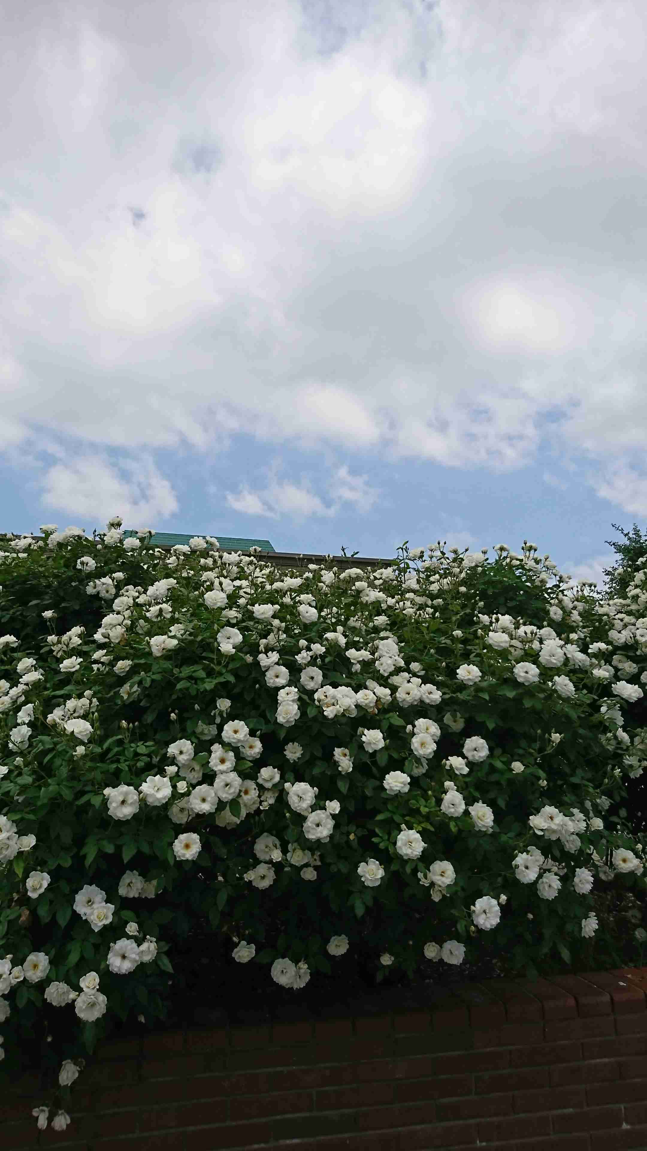 皆さんが撮った空の画像を見せて下さい